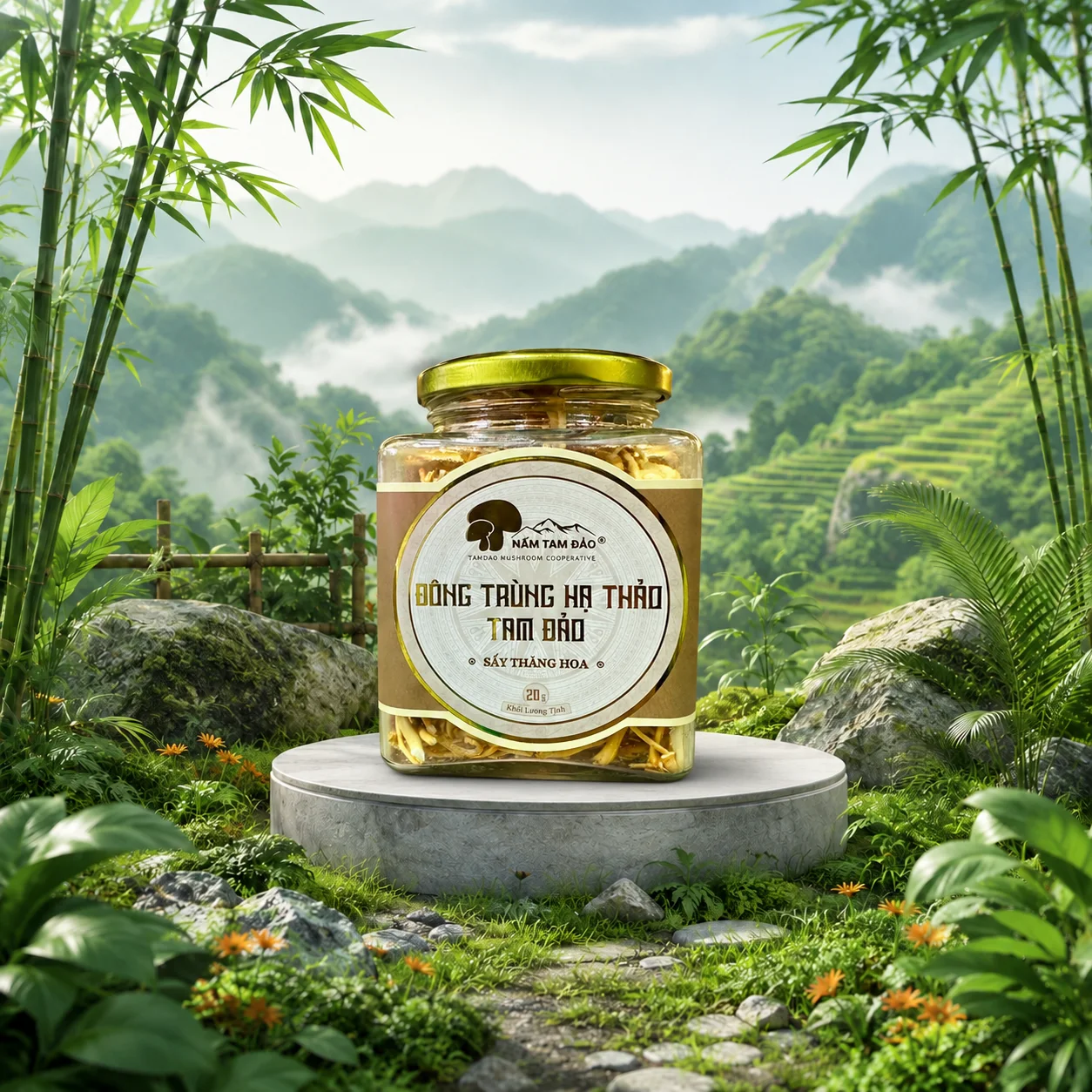 Đông trùng hạ thảo Tam Đảo sấy thăng hoa